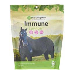 Immune Support Herbal Formula for Horses Silver Lining Herbs